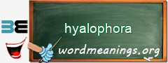 WordMeaning blackboard for hyalophora